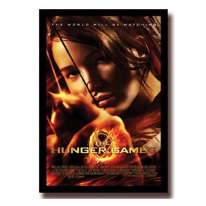 Deffter Film Afişleri Hunger Games