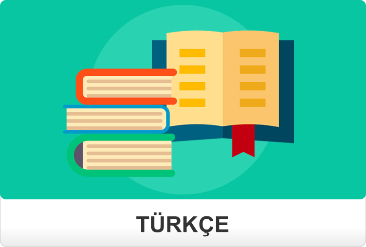 8.Sınıf Türkçe Kitapları